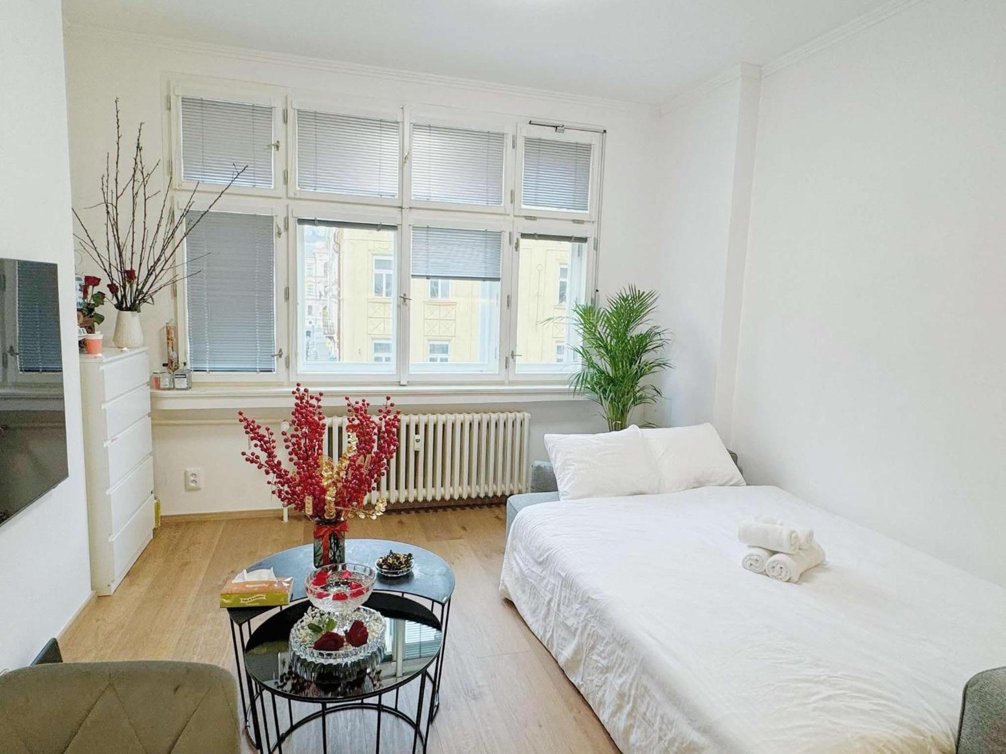 Apartment Cozy Nest Prag